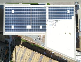 From Sunlight to Savings: What Your Sustainability Team Should Know