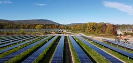 Empowering Clean Energy: The Sweeping Benefits of Shared Solar-Friendly Legislation