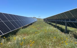 Douglas County School District Partners with Pivot Energy for a 920 Kilowatt Community Solar Subscription