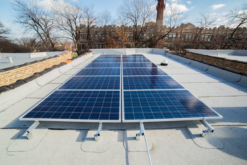 Overview Photo of Klessig Array