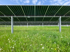 Decarbonization 101: How To Lower Your Carbon Footprint