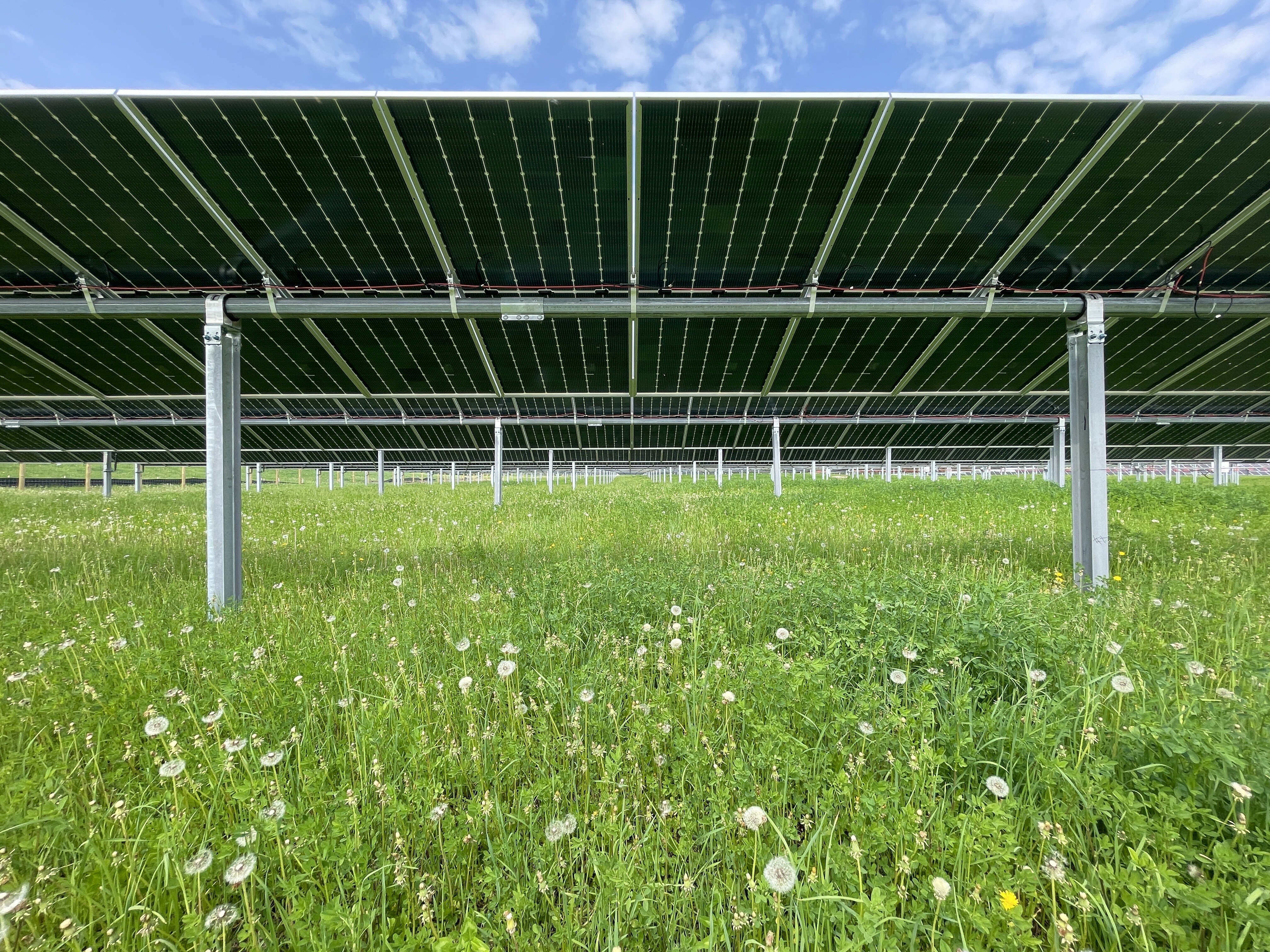 Community Solar Accordion_Multi-Product