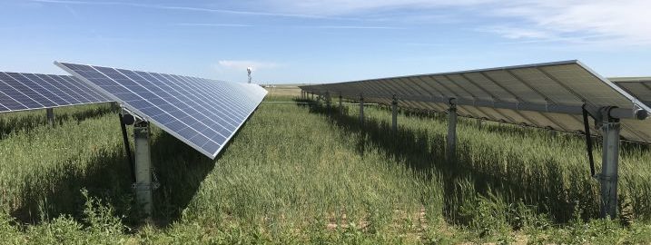clean energy solar array