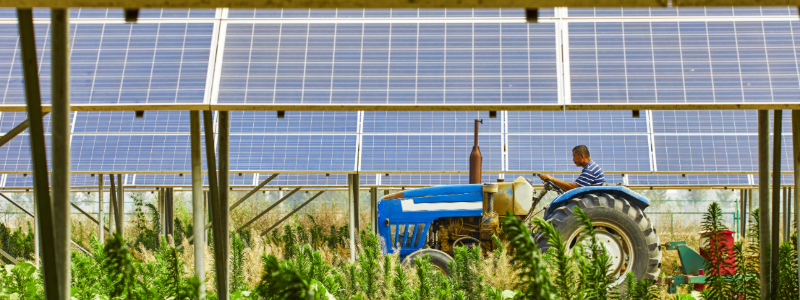 illinois community solar