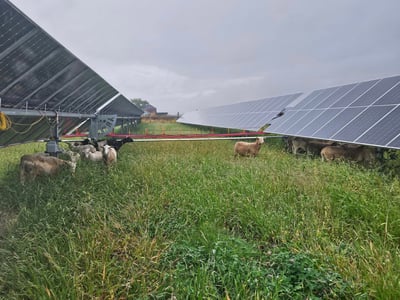 Pivot Energy Secures Over $225 Million from Three Existing Lenders to Advance Community Solar Projects