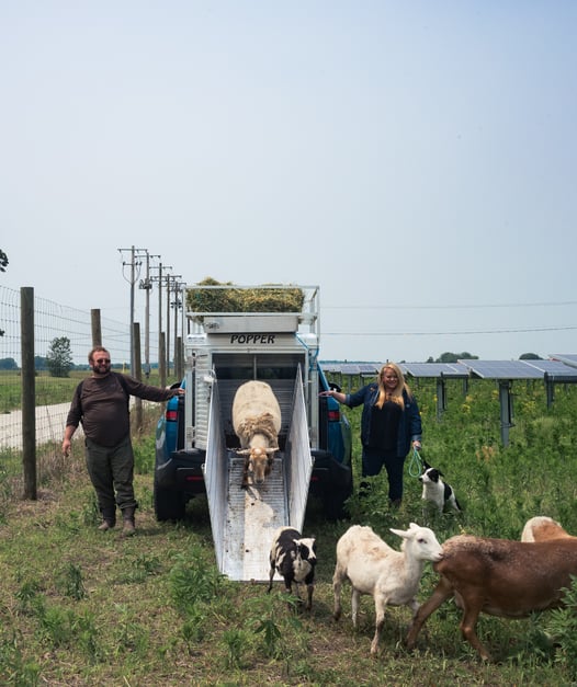 250610_NATHAN-HELEINE_PIVOT-SOLAR-187-Final