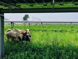 Purpose-Driven Development: A Proven Model for Land Stewardship