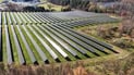 Pivot’s 2024 ESG Report Highlights
