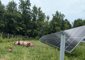 Pivot Energy’s Year in Review