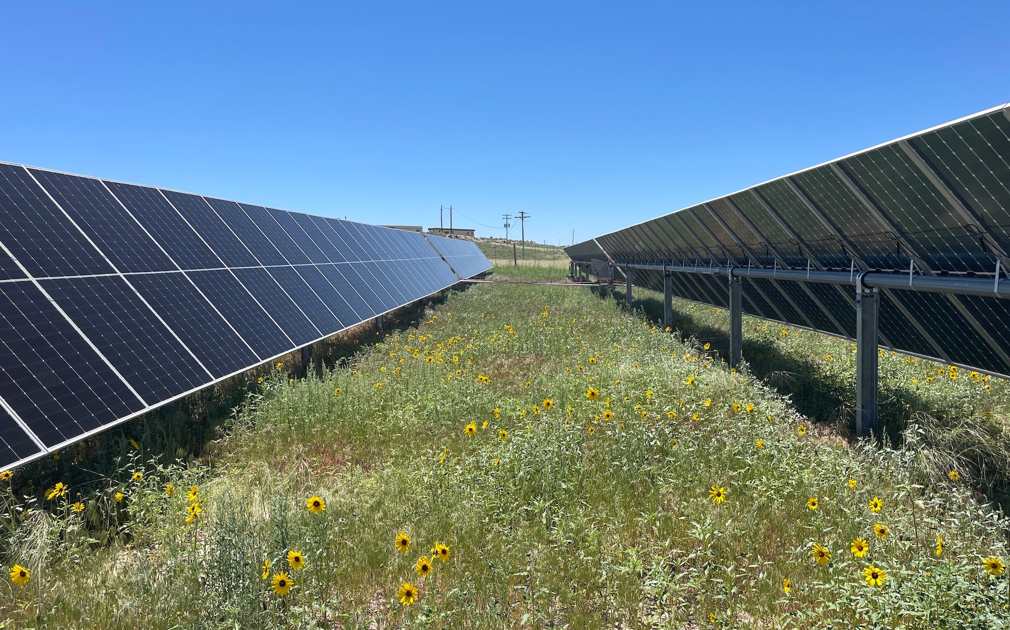 Colorado Community Solar Garden