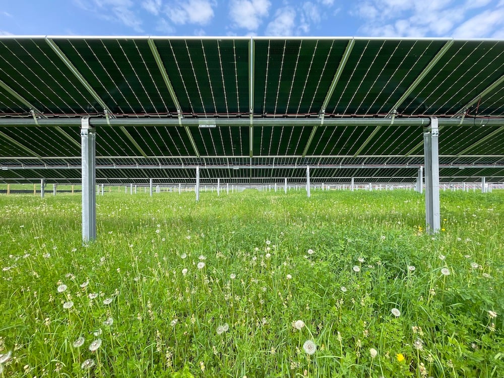 Community solar farm with vegetation