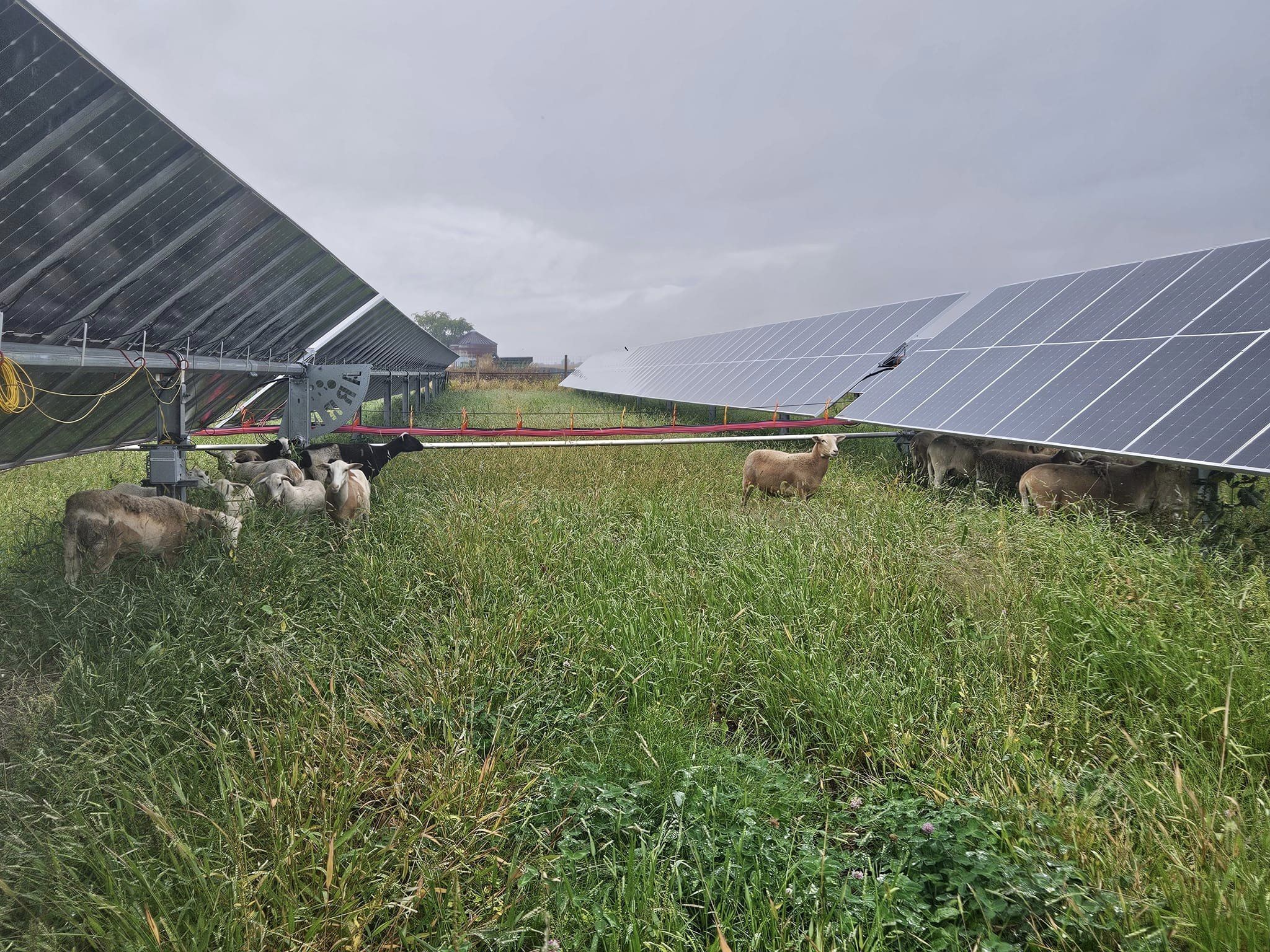 Pivot Energy Secures Over $225 Million from Three Existing Lenders to Advance Community Solar Projects