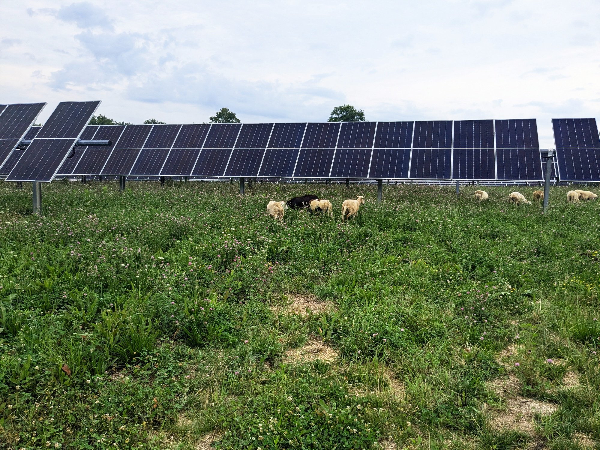 Combining Pivot Energy’s Products to Tackle Decardbonization Timelines