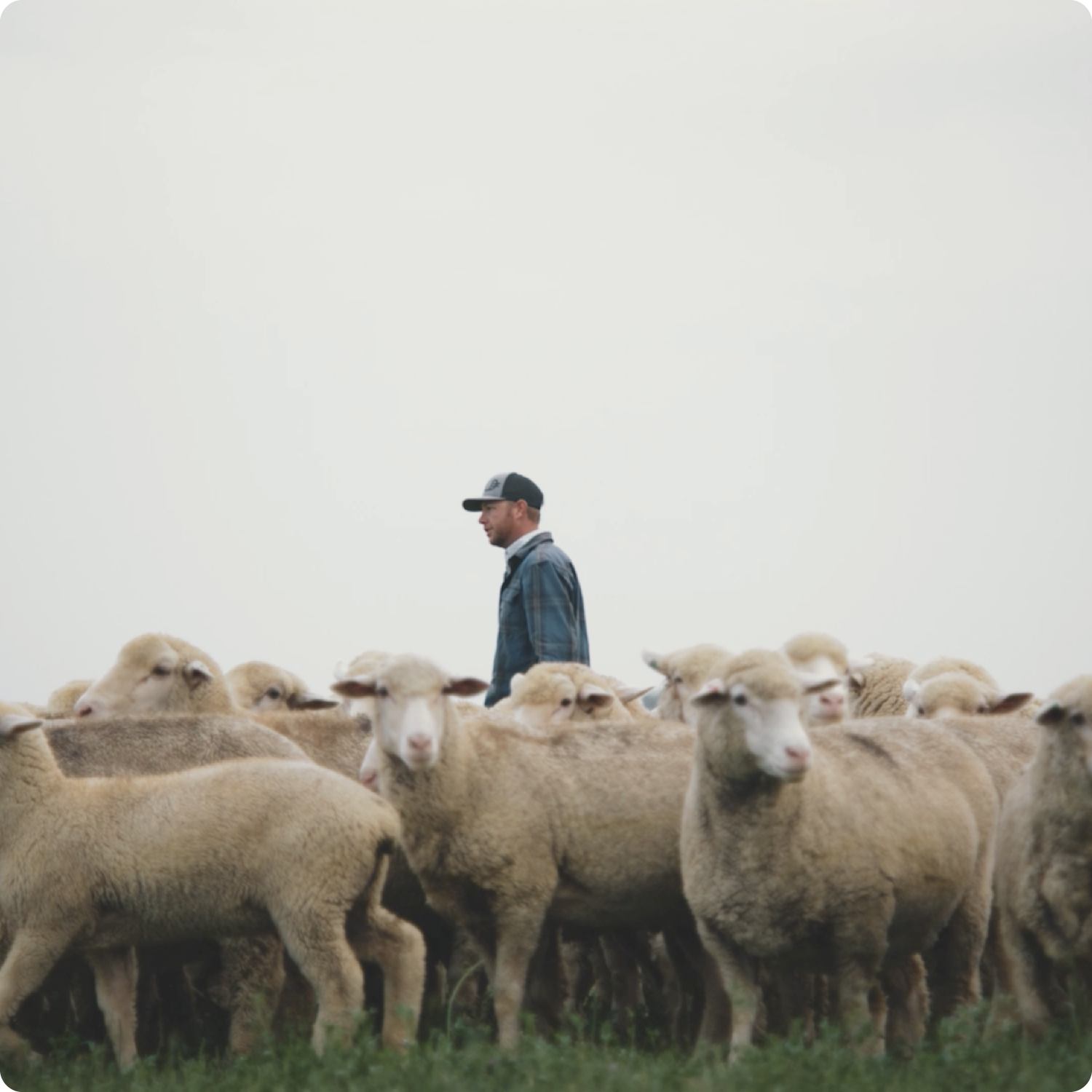 Thumbnail for Land Stewardship video square